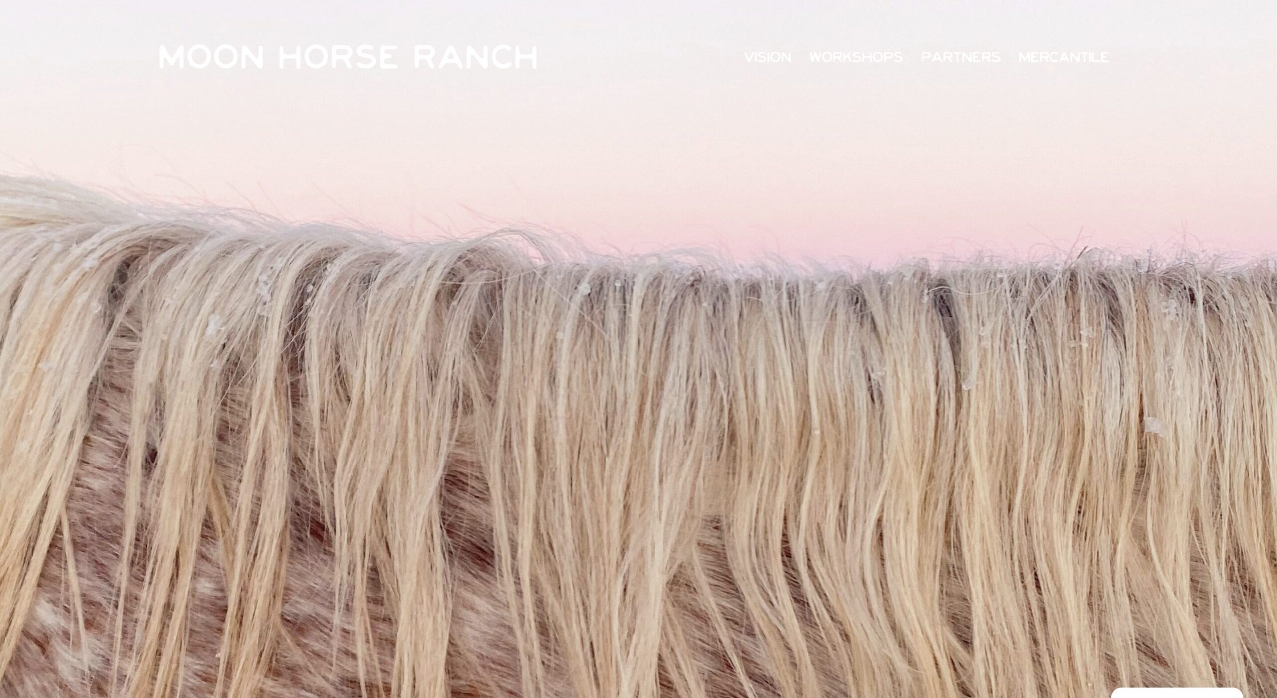 Moon Horse Ranch